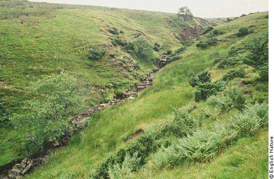 HARTLEY Cleugh Northumberland