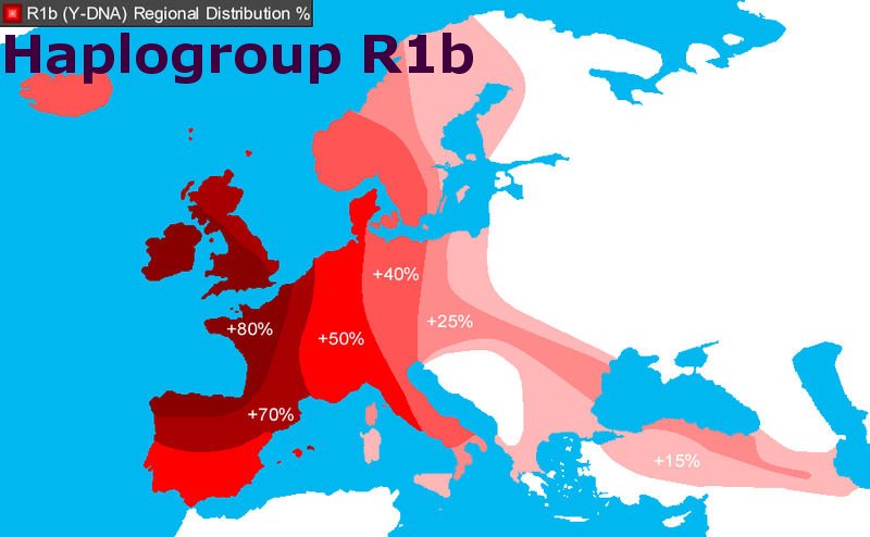 R1b map